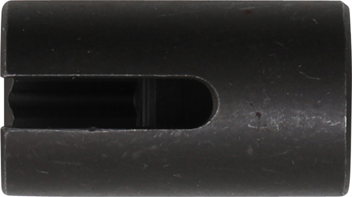 6677_01.jpg
