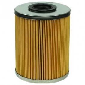 Filtro gasolio