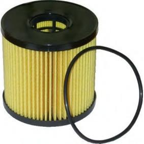 Filtro olio Avantime / Espace / Laguna / Master / Trafic / Vel Satis
