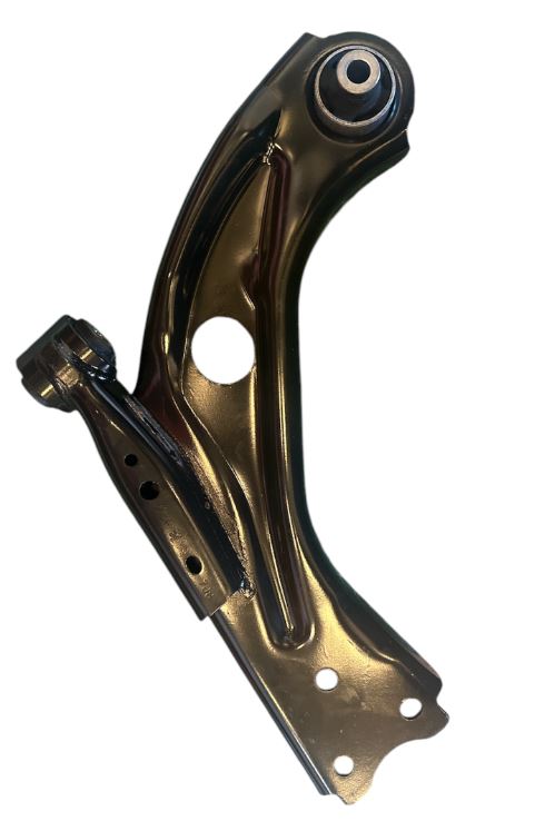 Spina dorsale anteriore destra