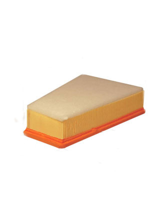 Filtro aria PSA (2.0HDi)