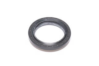 Differentialsimmerring Megane IV Talisman