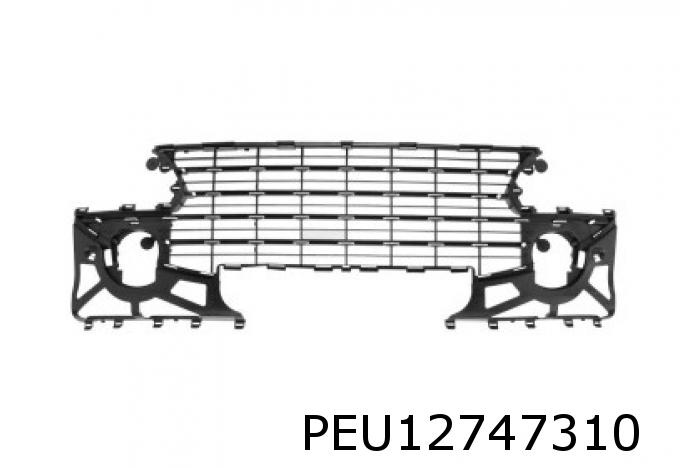 Stossstangengitter 307 vorne