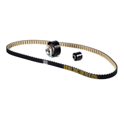 Set cinghia dentata EB2