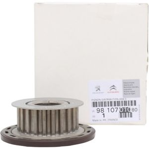 Ruota dentata, albero motore