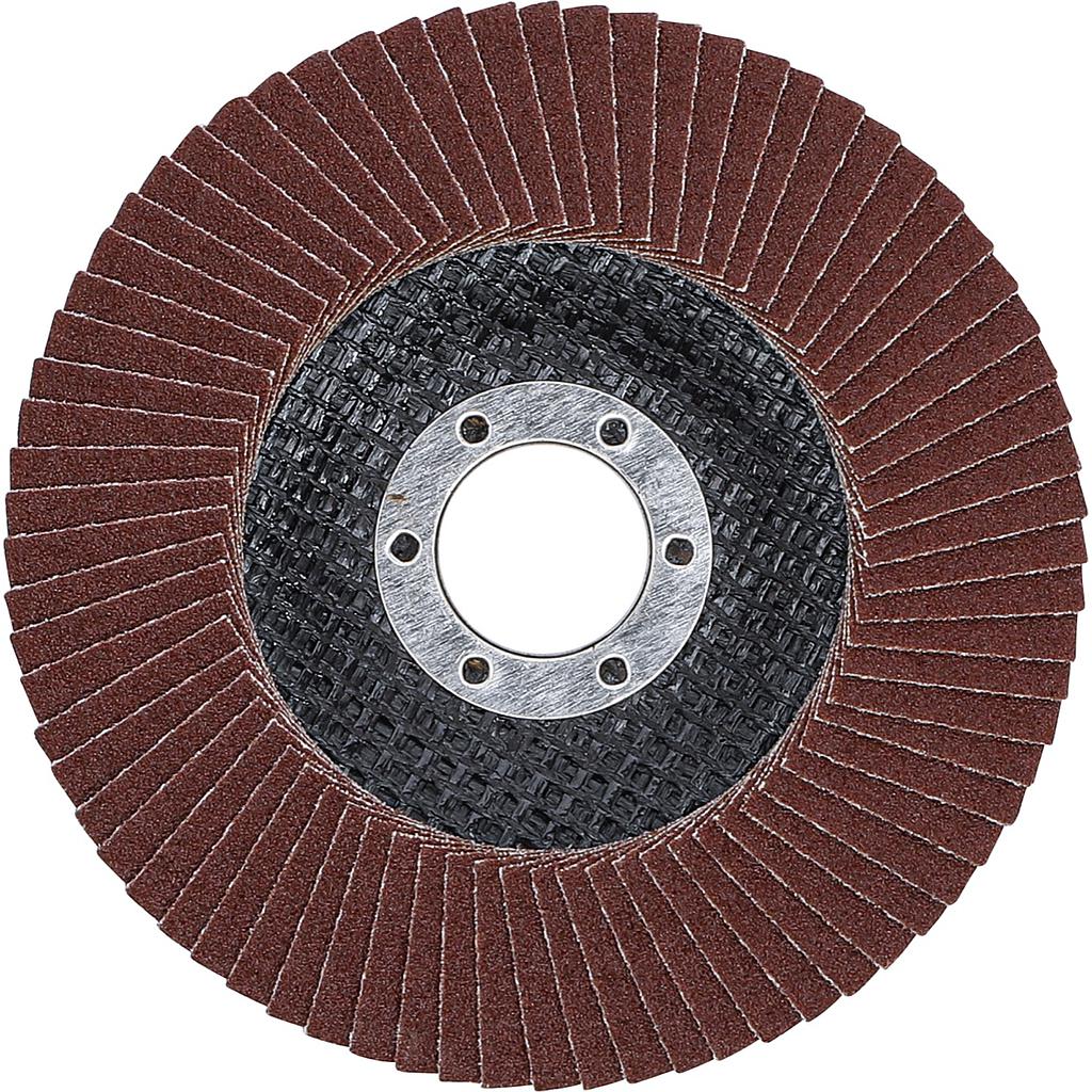 Fächer-Schleif-Scheibe | Ø 115 mm | K 120