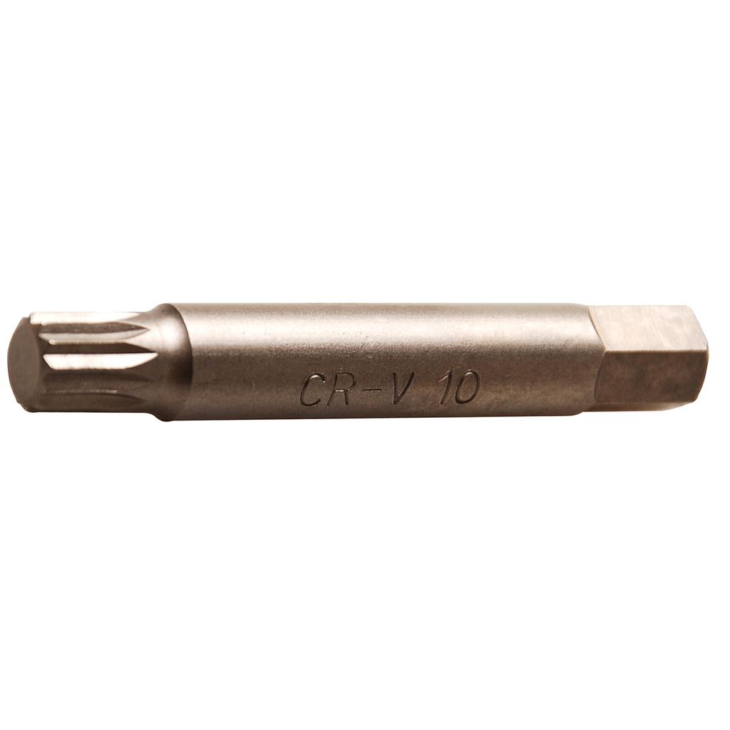 Bit, lang | Antrieb Aussensechskant 10 mm (3/8&quot;) | Innenvielzahn (für XZN) M10