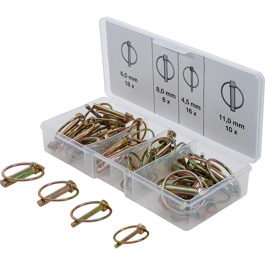 Klappsplinte-Sortiment | 50-tlg.