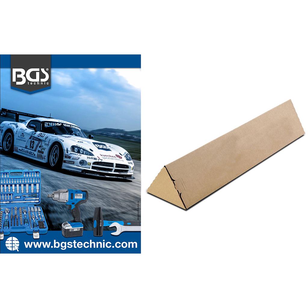 BGS® Poster im Karton | DIN A1