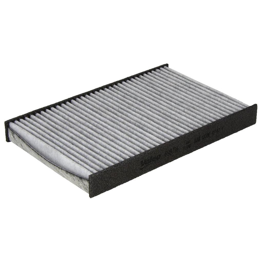 Filtro antipolline C2 / C3 / C4 / DS4 / 307 / 308 / RCZ Carbon