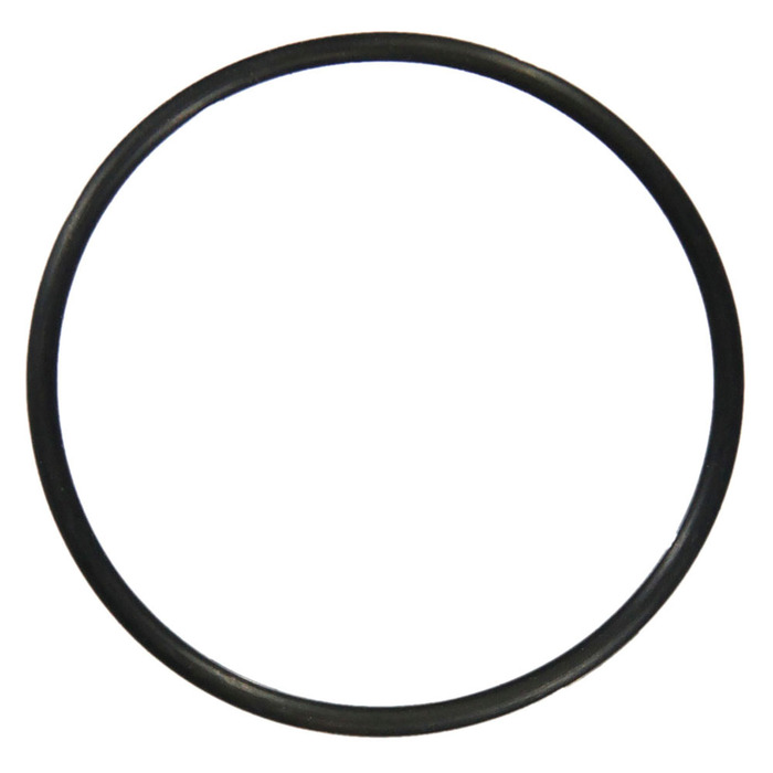 Thermostatdichtung O-Ring Fiat Ducato Iveco Daily 2,3 16 V